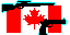 Guns / Canada Flag 