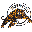 TigerCat